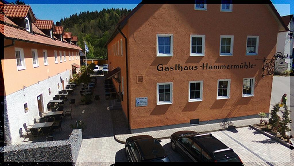 Landgasthof-Hotel Hammermuehle Donaustauf Ngoại thất bức ảnh